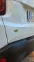 Jeep Renegade Renegade 2019 1.5 turbo t4 mhev 2wd 130cv dct Bianco - thumbnail 7