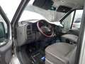 Ford Transit Bus DTCI 8 sitze - thumbnail 2