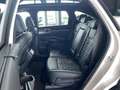 Kia Sorento 1.6T PHEV AWD AT6 PLAT Platinum 4WD Plug-In Hybrid Blanc - thumbnail 12