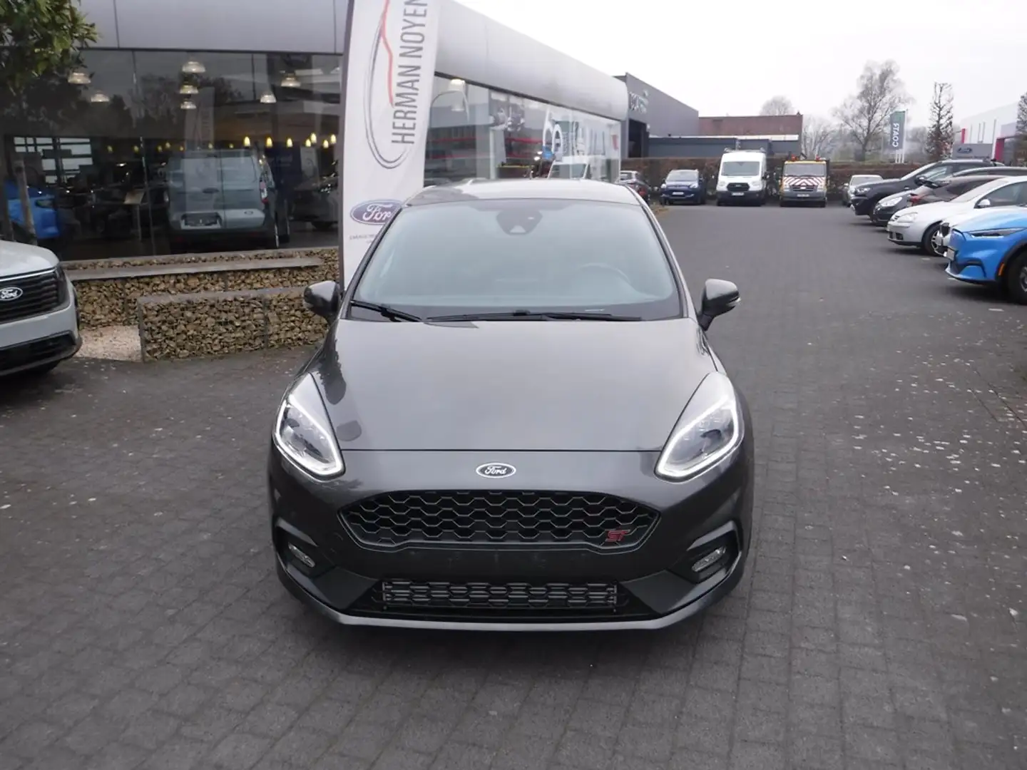 Ford Fiesta ST+ Grigio - 2
