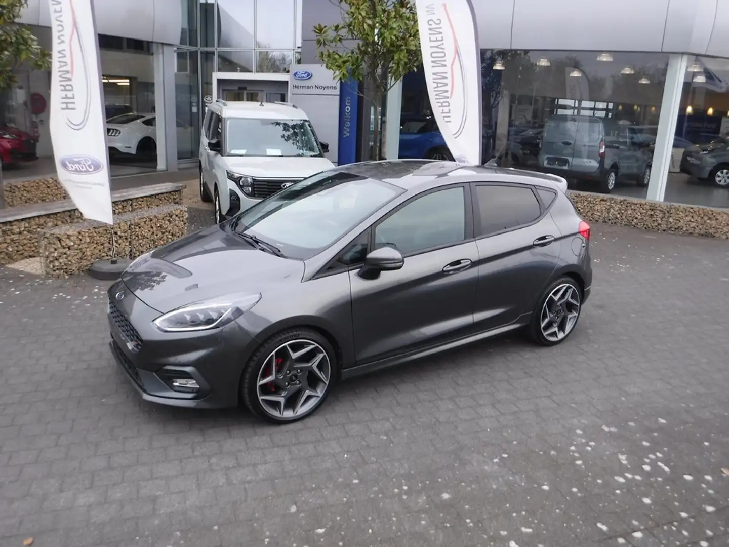 Ford Fiesta ST+ Grigio - 1