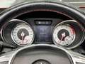 Mercedes-Benz SLK 250 SLK 250 AMG-Pack / SERVICE HISTORY / Rojo - thumbnail 17