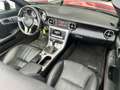 Mercedes-Benz SLK 250 SLK 250 AMG-Pack / SERVICE HISTORY / Rojo - thumbnail 11