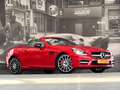 Mercedes-Benz SLK 250 SLK 250 AMG-Pack / SERVICE HISTORY / Rojo - thumbnail 6