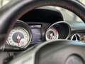 Mercedes-Benz SLK 250 SLK 250 AMG-Pack / SERVICE HISTORY / Rojo - thumbnail 16