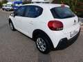 Citroen C3 BlueHDi 100 S&S Van Feel Bianco - thumbnail 4
