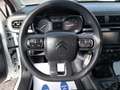 Citroen C3 BlueHDi 100 S&S Van Feel Bianco - thumbnail 9