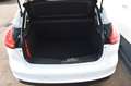 Ford Focus Lim. 1.5 TDCI Trend Klima SHZ PDC Weiß - thumbnail 10