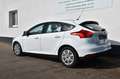 Ford Focus Lim. 1.5 TDCI Trend Klima SHZ PDC Weiß - thumbnail 6