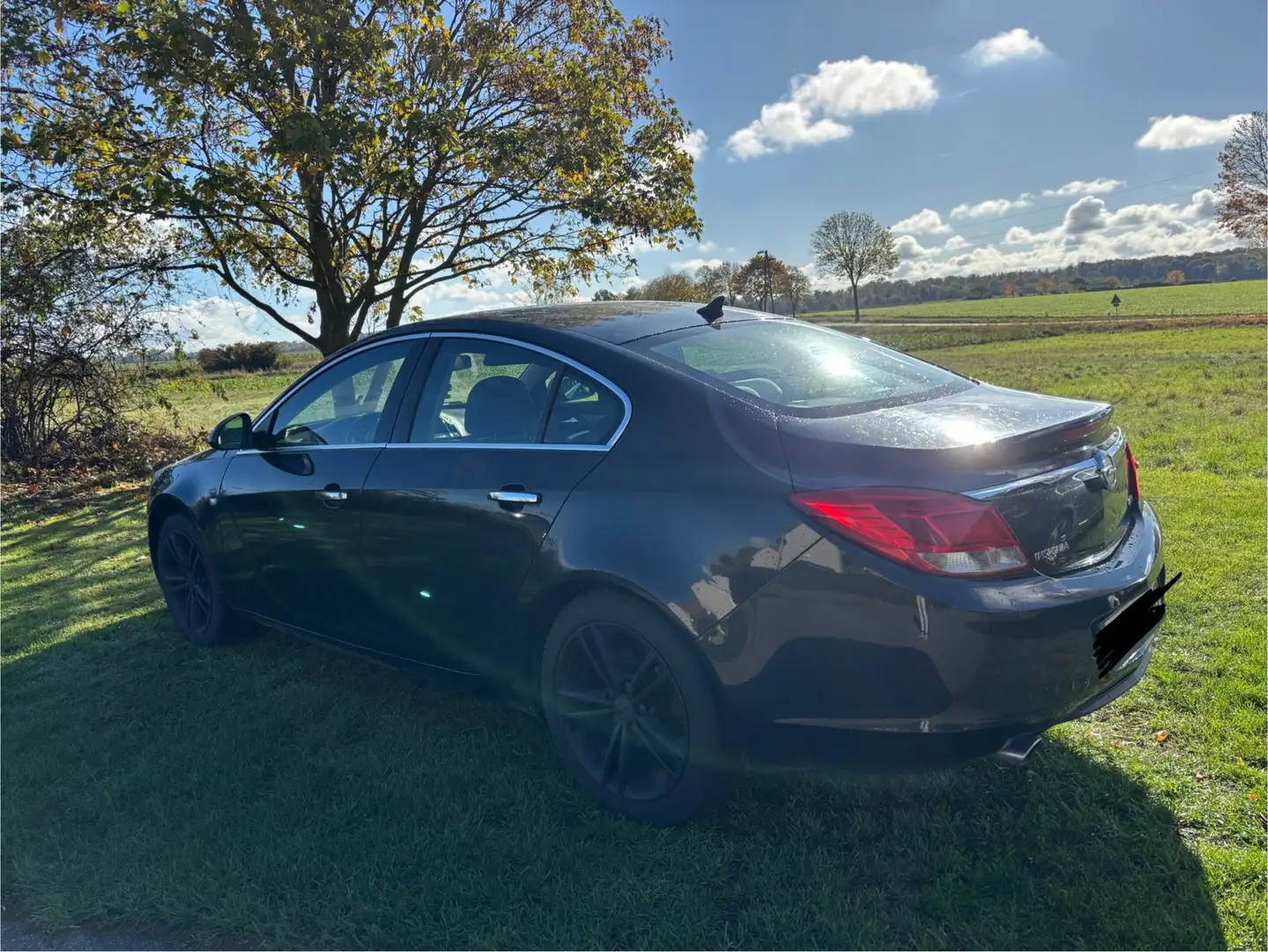 Opel Insignia 2.0 CDTI Cosmo - 1