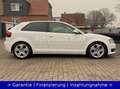 Audi A3 2.0 TDI Attraction *17LMF*NAVI*SHZ*TÜV NEU* Wit - thumbnail 5