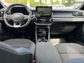 Dacia Duster ECO-G 100 LPG Journey Winter-Plus-Paket Grau - thumbnail 6