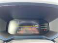 Dacia Duster ECO-G 100 LPG Journey Winter-Plus-Paket Grau - thumbnail 14