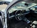 Audi Q5 40 TDI quattro S tronic S line plus Blanc - thumbnail 8