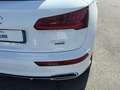 Audi Q5 40 TDI quattro S tronic S line plus Blanc - thumbnail 18