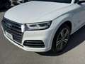 Audi Q5 40 TDI quattro S tronic S line plus Blanc - thumbnail 15