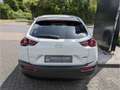 Mazda MX-30 Premium HUD Navi Leder Bose 360 Kamera Memory Sitz Blanc - thumbnail 4