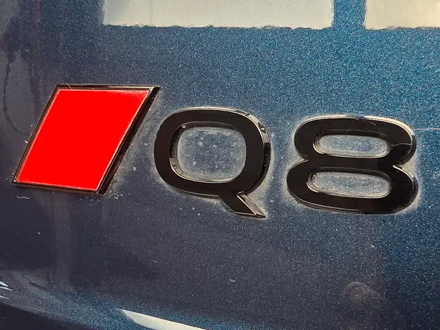 Audi Q8 TFSI e quattro 290 kW Ansicht 27