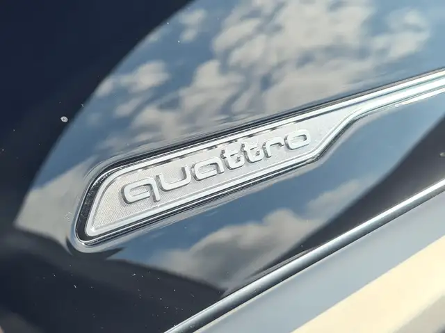 Audi Q8 TFSI e quattro 290 kW Ansicht 28