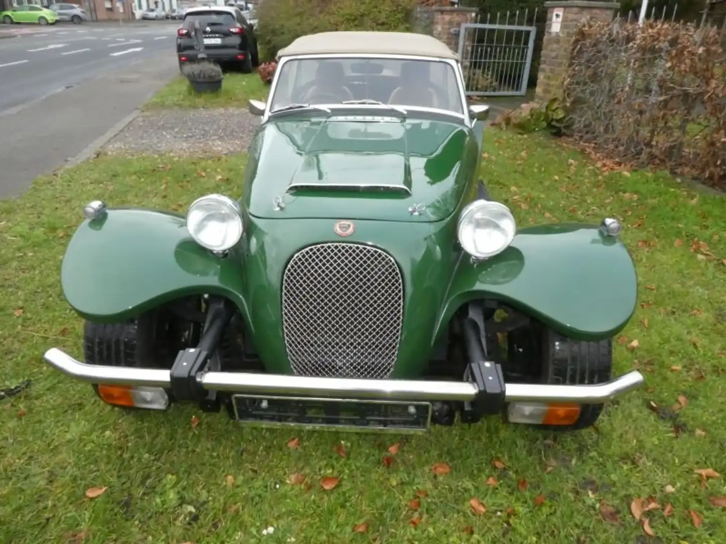 Panther Westwinds Kallista Grün - 2