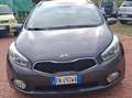 Kia Ceed / cee'd 1.6 crdi platinum Grau - thumbnail 3