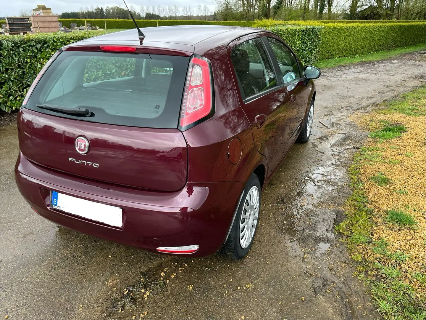 Fiat Punto 1.2i Easy Rouge - 2