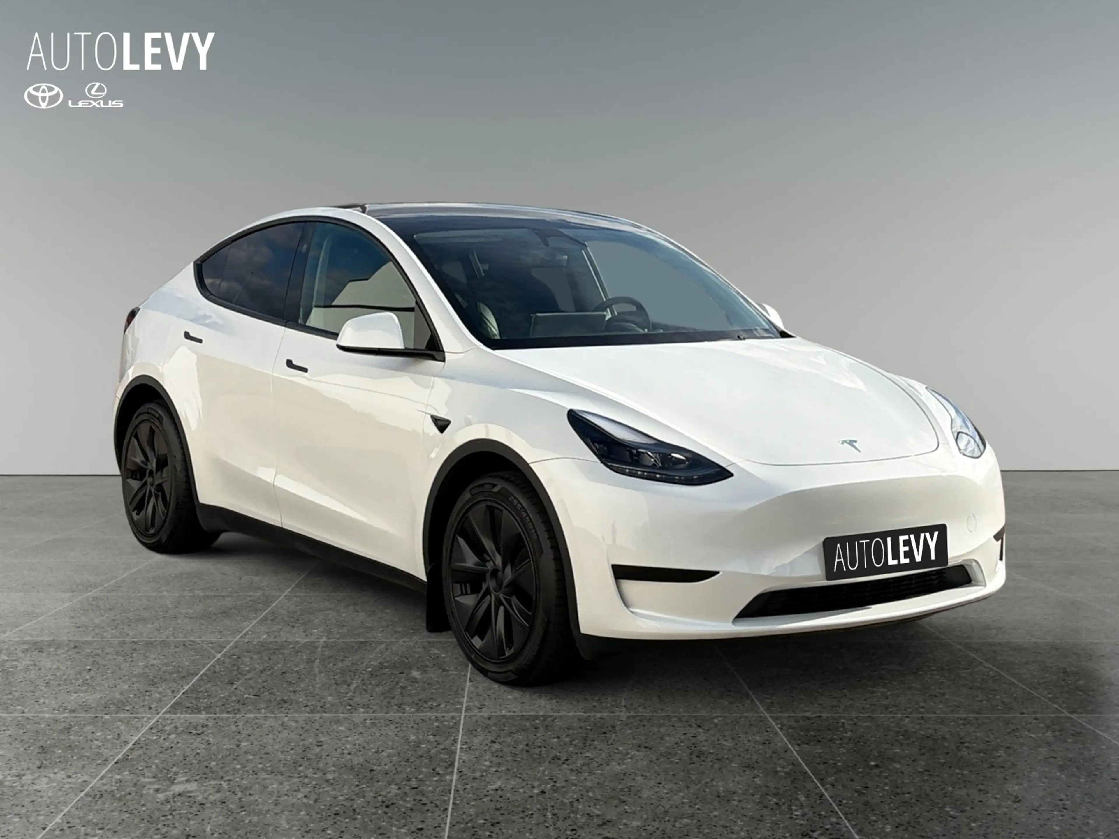 Tesla Model Y RWD Long Range Kamera+SitzHZ+Klima+Pano — photo 7