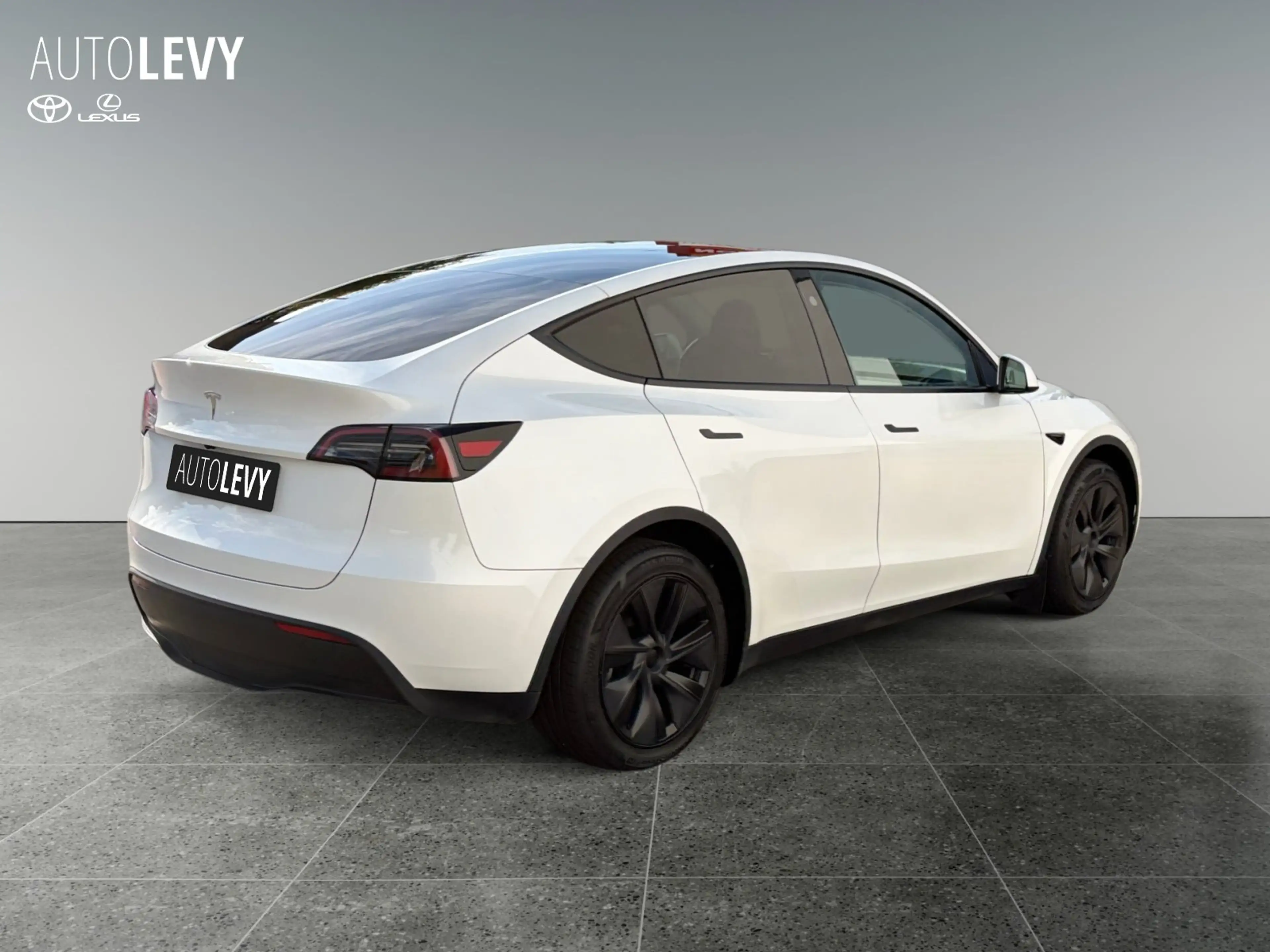 Tesla Model Y RWD Long Range Kamera+SitzHZ+Klima+Pano — photo 6
