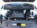 EVO EVO3 1.5  BENZINA - thumbnail 30