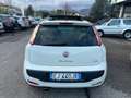 Fiat Punto Evo 5p 1.4 m-air turbo Sport s *TETTO*135CV* Beyaz - thumbnail 5