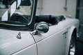 Triumph TR6 Wit - thumbnail 14