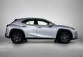 Lexus UX 250h Urban Line | Apple Carplay/ Android Auto | Adaptiv Gris - thumbnail 12