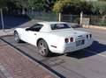 Corvette C4 Convertible Bílá - thumbnail 5