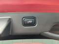 Kia Niro 1.6 GDi 140pk Hybrid DynamicPlusLine | Leder | Cli Rood - thumbnail 14