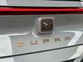 CUPRA Born 77kWh e-Boost Grau - thumbnail 9