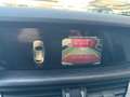 Alfa Romeo Stelvio 2.2 Turbodiesel 180 CV AT8  Executive Nero - thumbnail 13