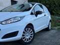 Ford Fiesta Fiesta Van 1,25 16V Basis Weiß - thumbnail 3