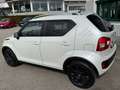 Suzuki Ignis 1,2 Dual Jet Shine 4WD Weiß - thumbnail 6