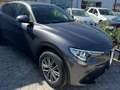 Alfa Romeo Stelvio Stelvio 2.2 t Business Q4 210cv auto Gris - thumbnail 1