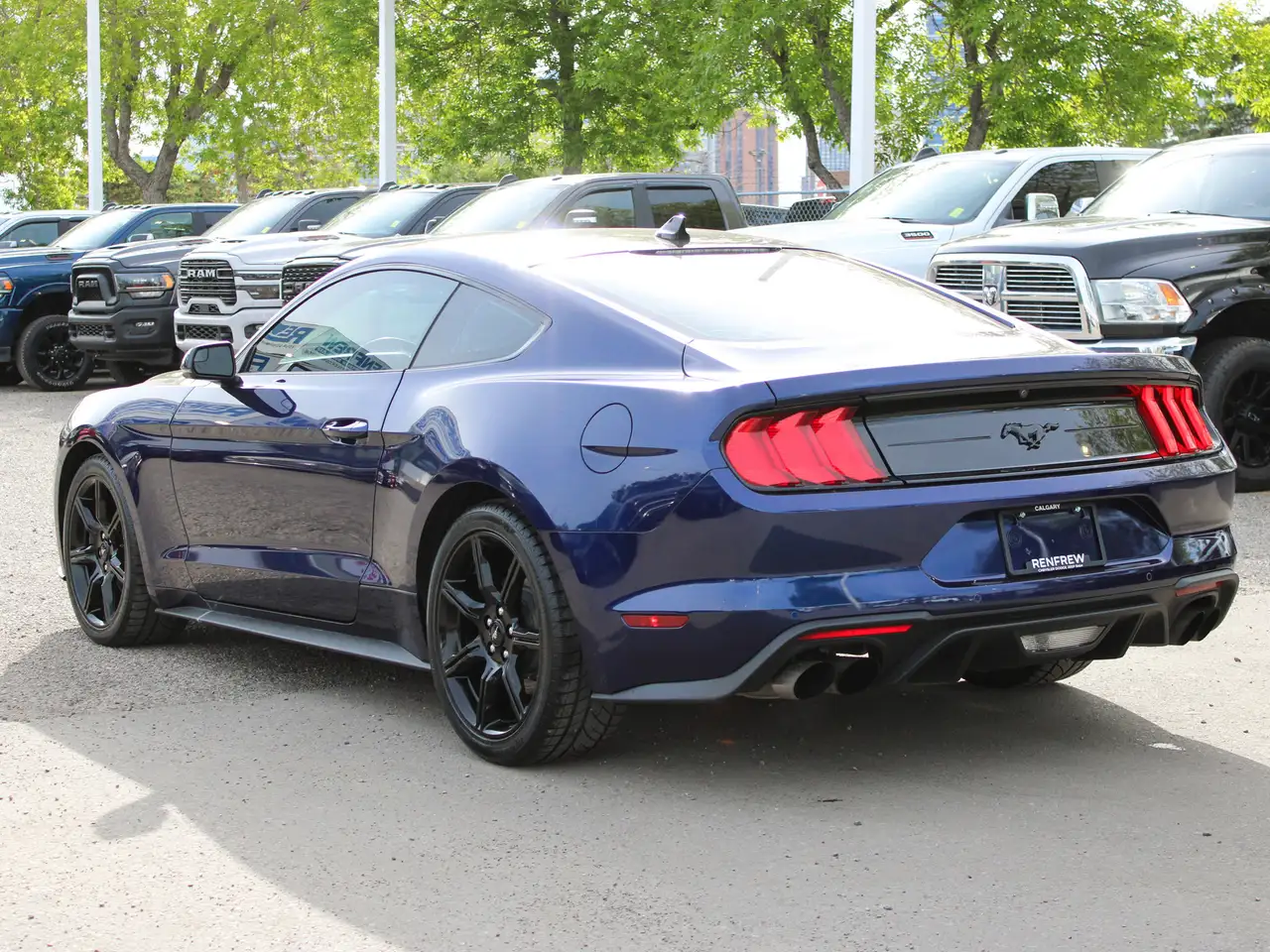 Ford Mustang fotografie Ford Mustang