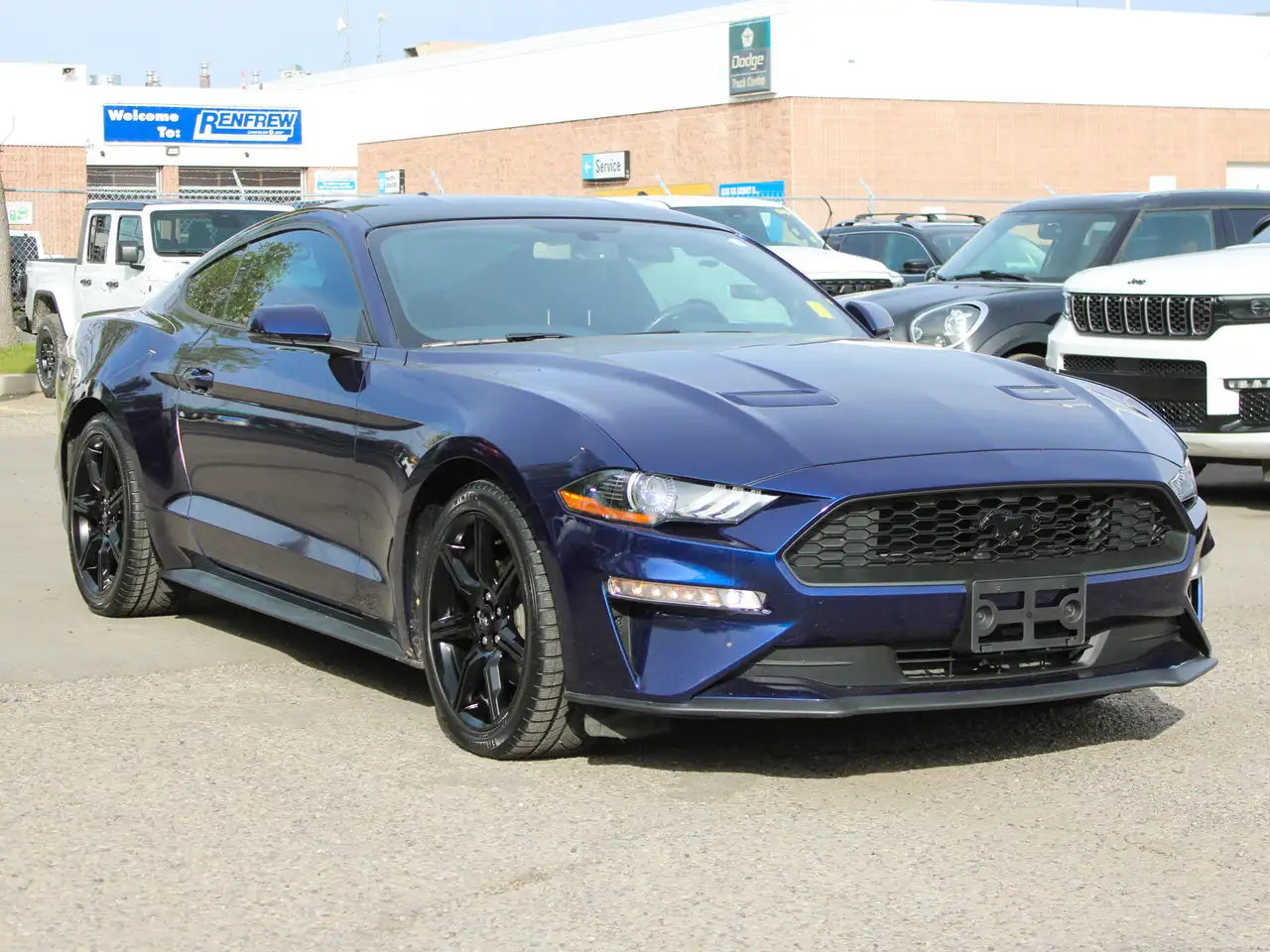 Ford Mustang fotografie Ford Mustang