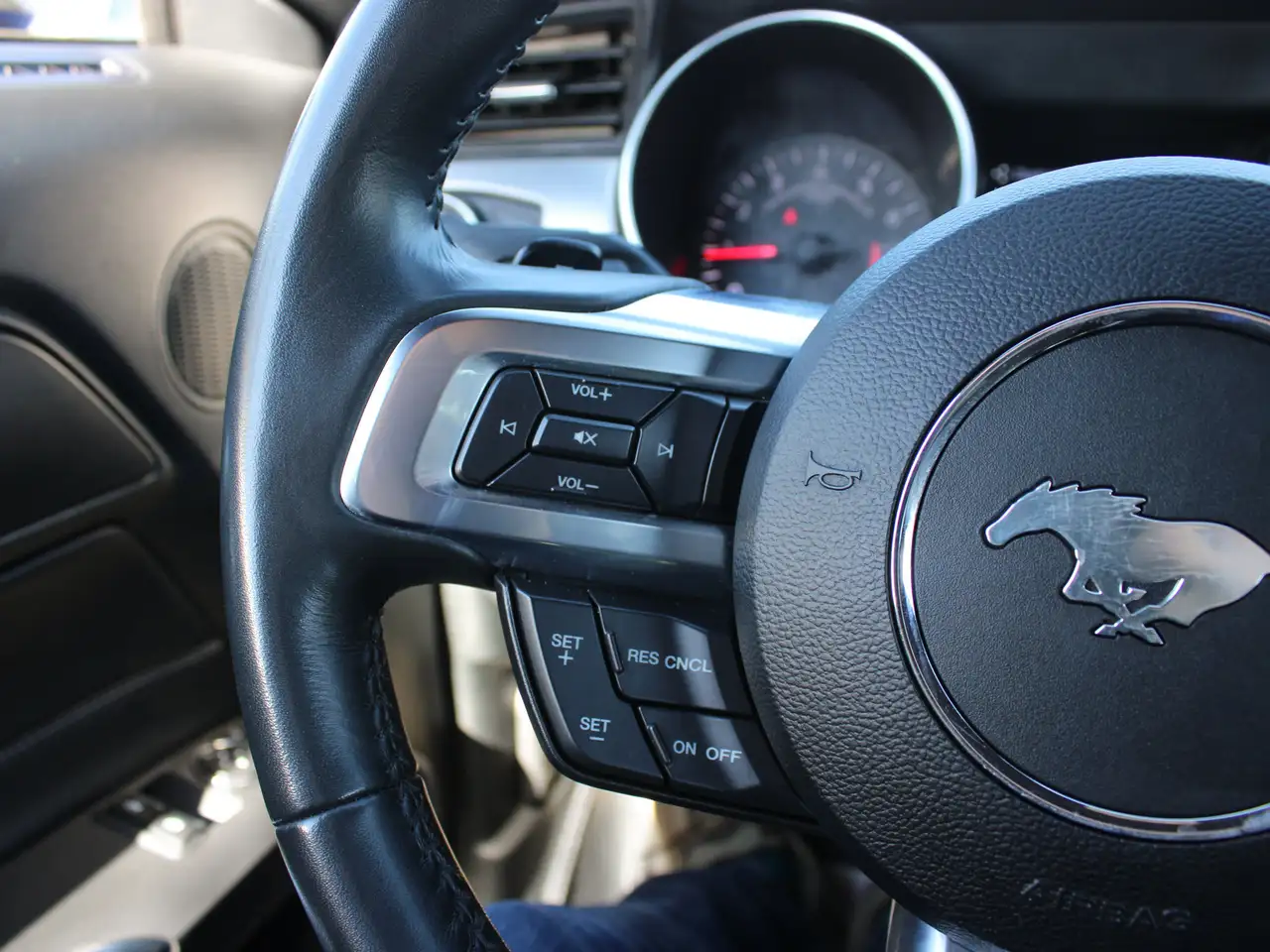 Ford Mustang fotografie Ford Mustang