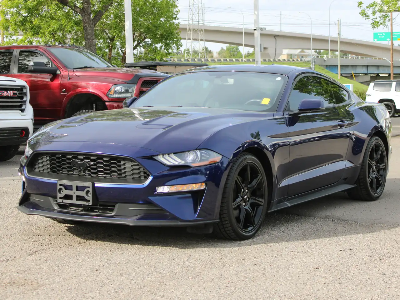 Ford Mustang fotografie Ford Mustang
