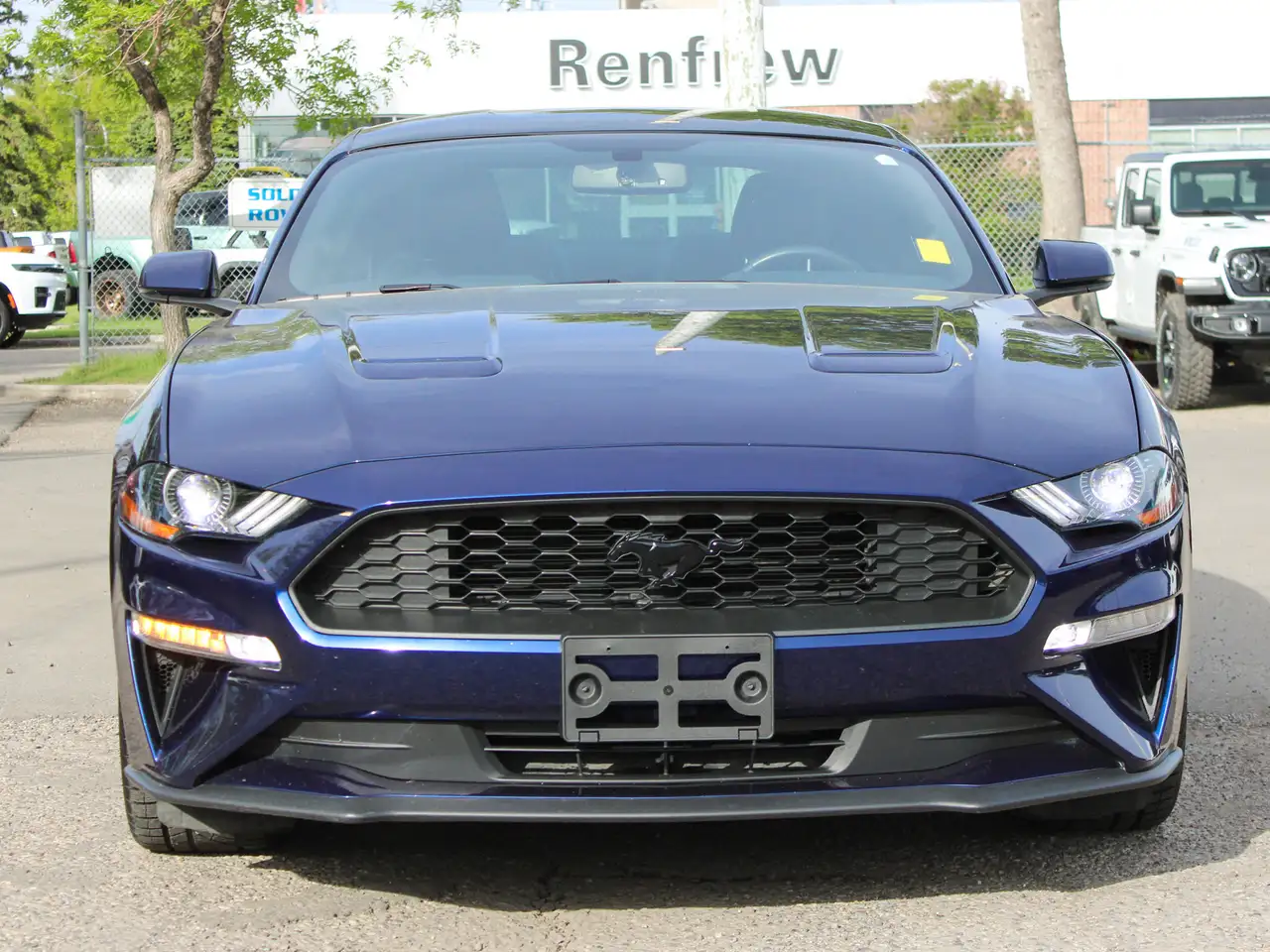 Ford Mustang fotografie Ford Mustang