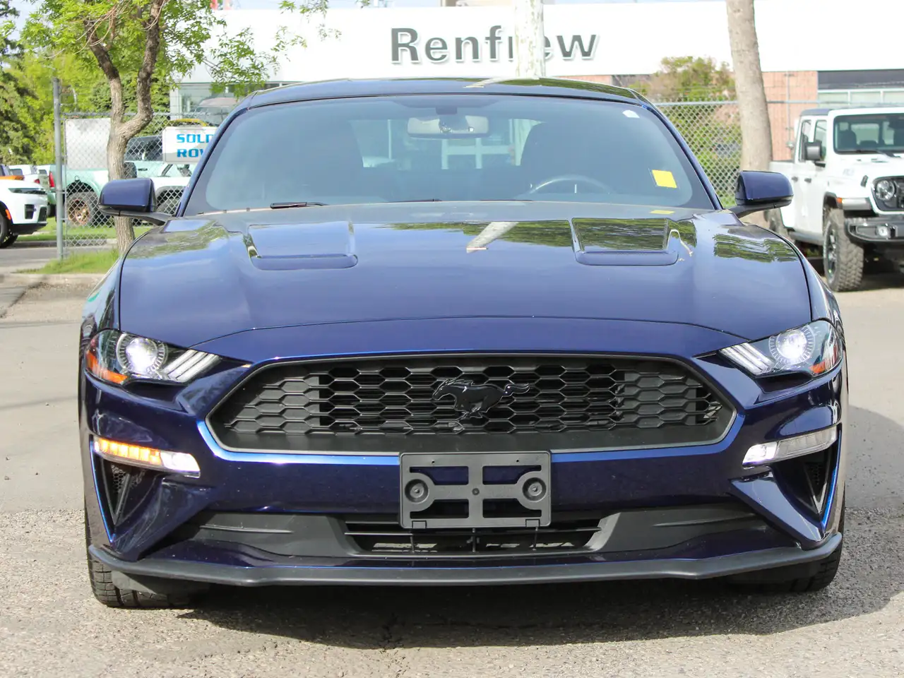 Ford Mustang photo Ford Mustang