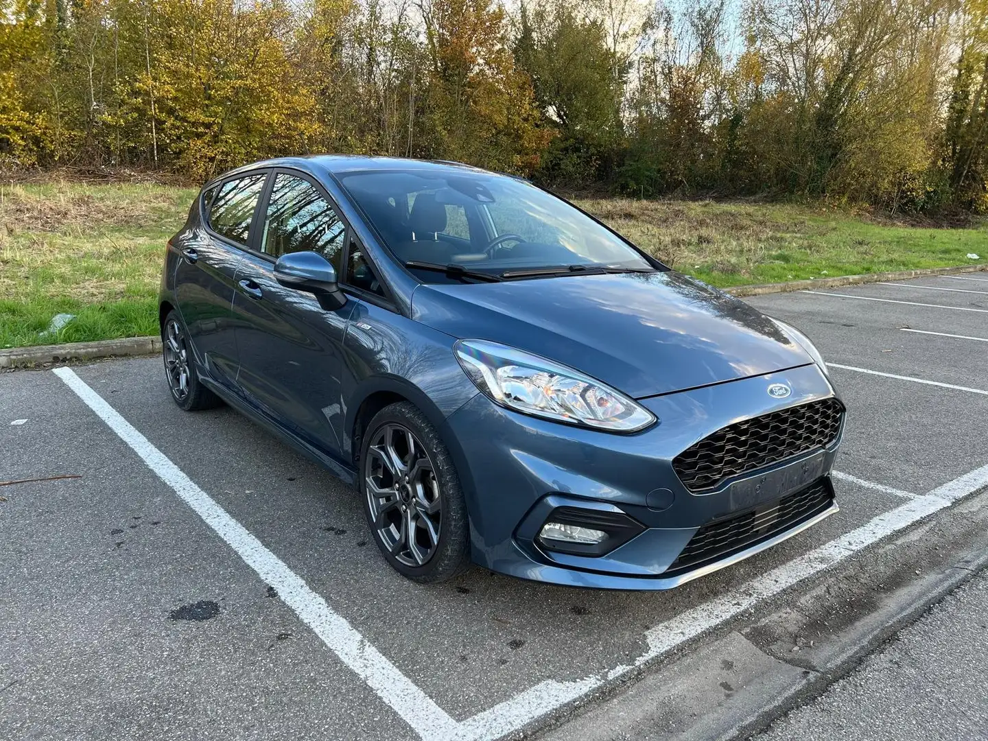 Ford Fiesta Fiesta+1.0+EcoBoost+S Blauw - 1