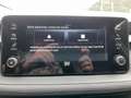 Skoda Fabia Selection TSI Weiß - thumbnail 13