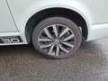 Volkswagen T6 Multivan Multivan Edition 2,0 TDI 4Motion DSG Edition Weiß - thumbnail 15