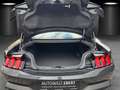 Ford Mustang Dark Horse V8 SCHALTER/LED/RECARO/SHZ Grau - thumbnail 7