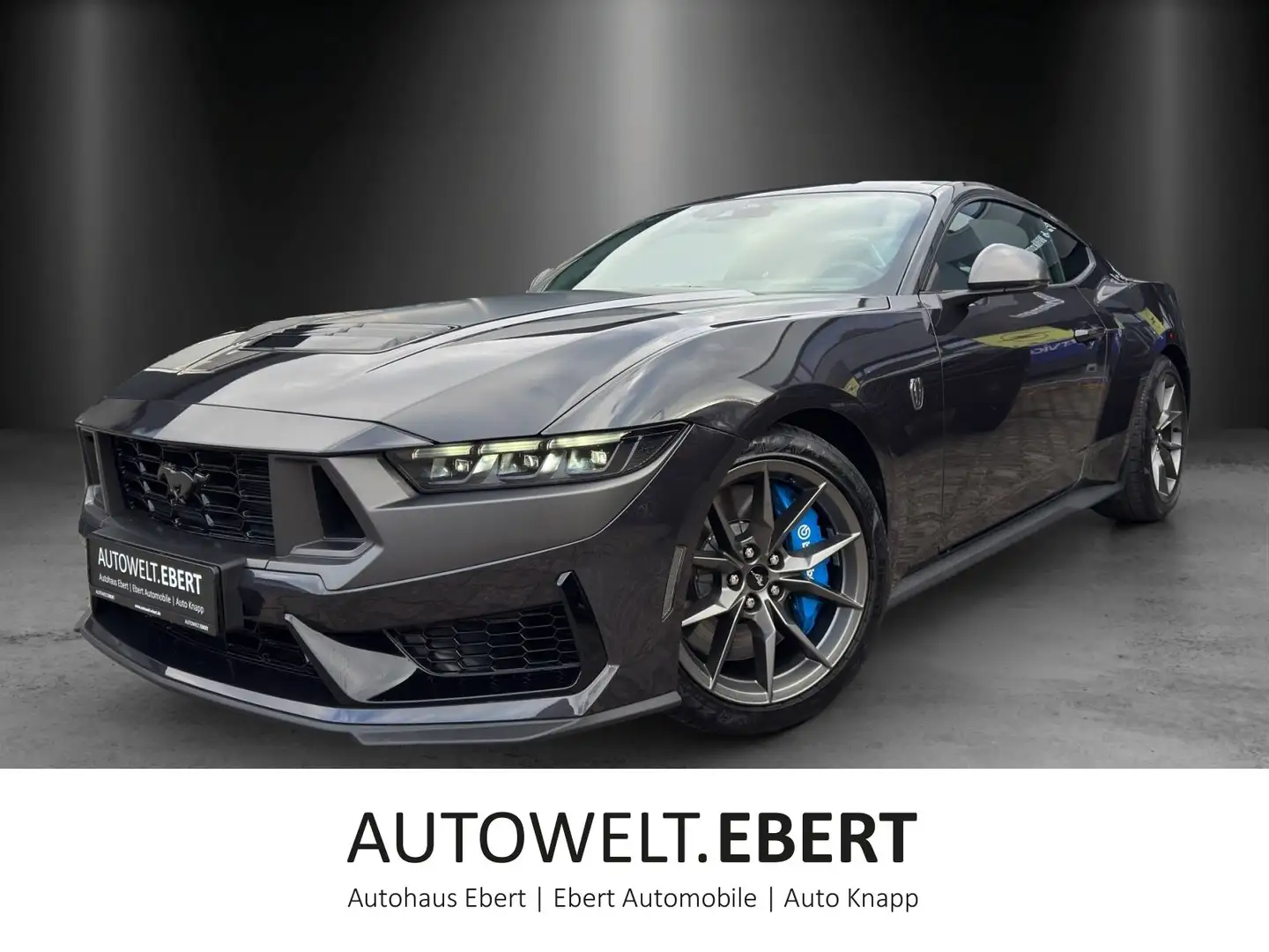 Ford Mustang Dark Horse V8 SCHALTER/LED/RECARO/SHZ Grau - 1